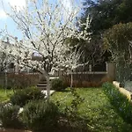 Daire Family House Kamelija